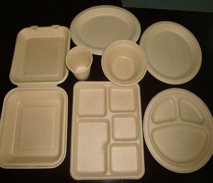 環(huán)保紙漿模塑歷來發(fā)展與應(yīng)用有哪些？